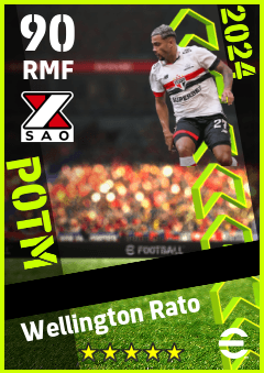 Wellington Rato